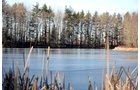 Tract 7 - 4.8 acre Private Lake - 339+/- Acres Offered in 10 Tracts